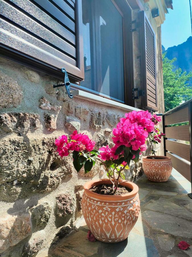 The Stone House Βίλα Καλαμπάκα Εξωτερικό φωτογραφία